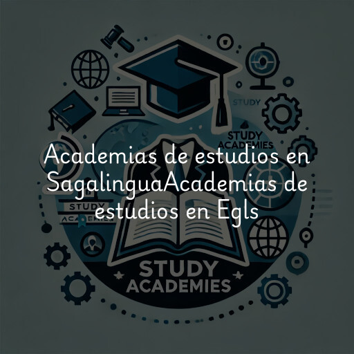 Academias de estudios en