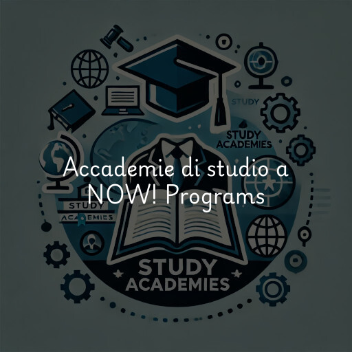 Accademie di studio a NOW! Programs