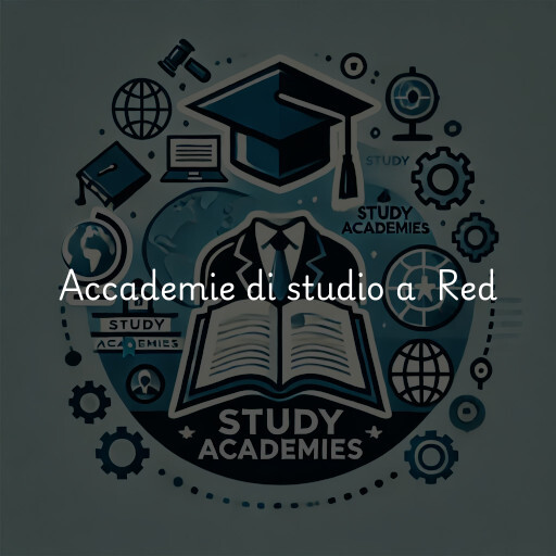 Accademie di studio a Red & Blue International