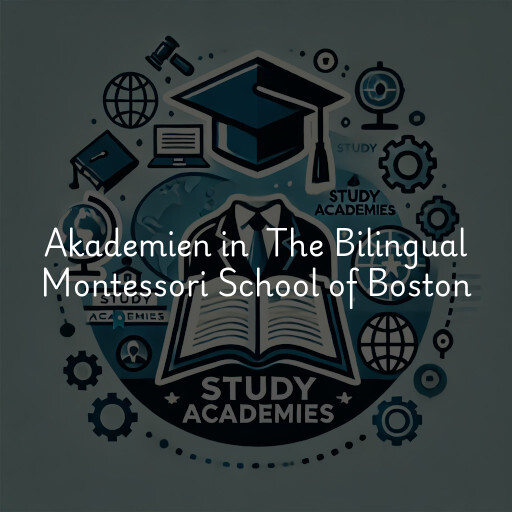 Akademien in The Bilingual Montessori School of Boston