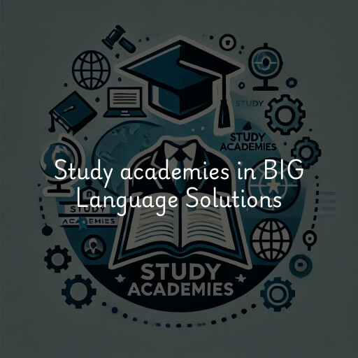 Study academies BIG Language Solutions