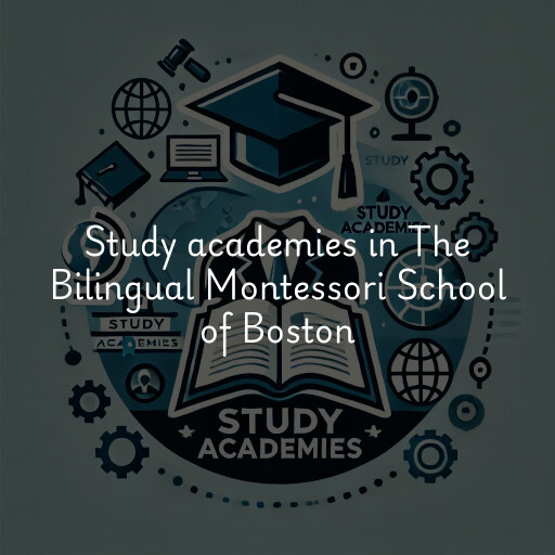 Study academies The Bilingual Montessori School of Boston